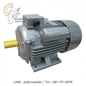 มอเตอร์ไฟฟ้า 1.5 แรง 2 สาย (MO-YC90L-4-1.5HP)